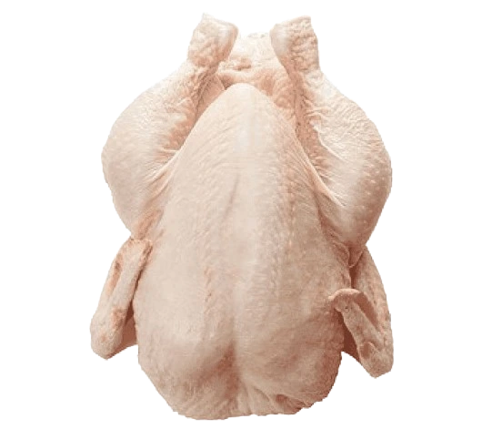 مملكة الطازج للدواجن